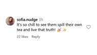 Sister Wives' fan @sofia.nudge's comment. Image via Instagram /@tlc